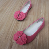 Bronoir Nola Cozy - Ballerinas Elegantes e Confortáveis para o Dia-a-Dia