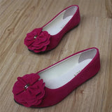 Bronoir Nola Cozy - Ballerinas Elegantes e Confortáveis para o Dia-a-Dia